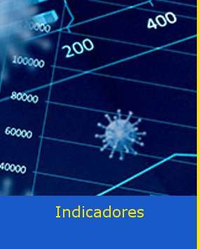 Indicadores