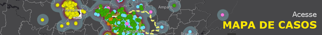 MAPA DE CASOS